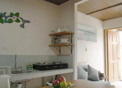 a kitchen with a sink and a table with fruit at Apartamentos y Studios Brisas del Mar Santa Teresa in Santa Teresa Beach