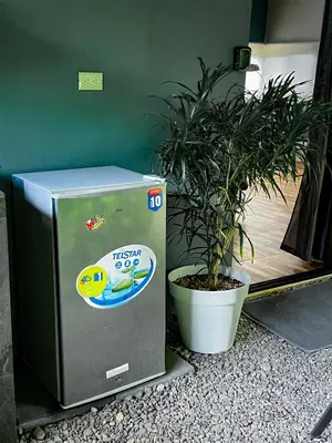 a large cpu sitting next to a potted plant at Casita Anastacia in Uvita