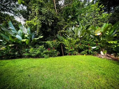 a yard with green grass and trees and plants at Casita Anastacia in Uvita