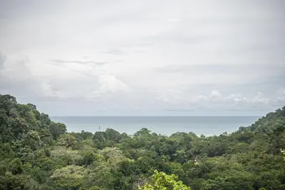 a view of the ocean from the forest at Luxury Villa #10 De Las Mariposas in Playa Hermosa