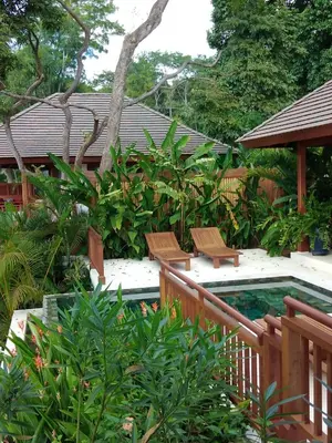 a swimming pool with two chairs and plants at Canta La Rana in Bejuco