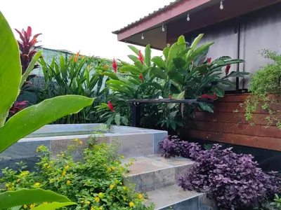 a garden with some plants and flowers at La fortuna cabañas Kwepal vista al volcan Arenal in Fortuna