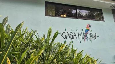 a wall with a painting of a parrot on it at Casa Macaw Jungle Cabin w Private Pool AC in Quepos