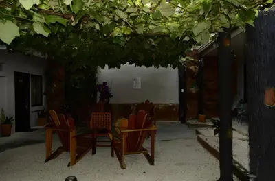 a group of chairs and a table under a tree at Hotel La Vid La Fortuna in Fortuna