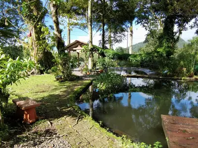 a pond in a garden with a bench next to it at Greenhouse Lofts Miravalles in Aguas Claras