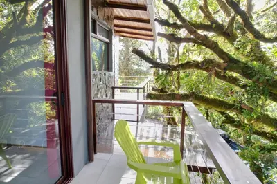 a balcony with green chairs and a window at Cougar Monteverde in Monteverde Costa Rica
