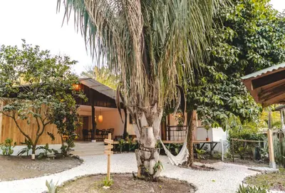 a palm tree in front of a house at Cuatro Vientos Lodge & Apartments - Santa Teresa, CR in Santa Teresa Beach