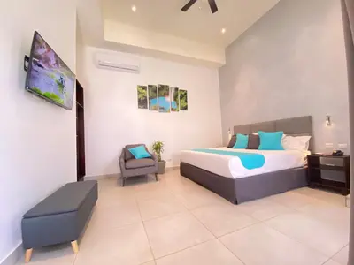 a bedroom with a bed and a tv in it at Hotel Naoz in Manuel Antonio