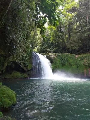 Gallery image of Cabaña para vacacionar río Sarapiqui in Sarapiquí
