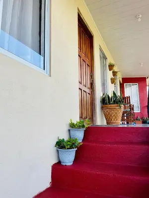a red carpeted staircase with potted plants in front of a door at Sweet Home Carrión in Fortuna