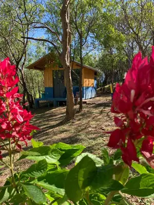 a house with a blue bench and red flowers at Cabañas Casa Soley in Puerto Soley