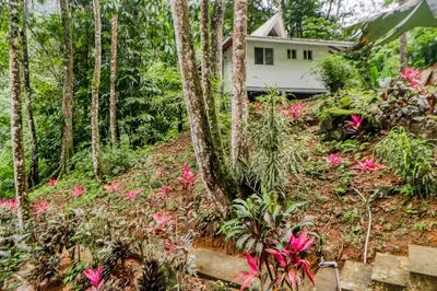 a house in the woods with pink flowers at Lost Pools Bungalow at Sloth in Uvita