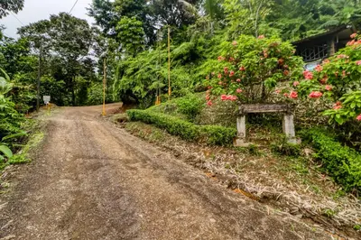 a dirt road with flowers on the side of a house at Lost Pools Bungalow at Sloth in Uvita