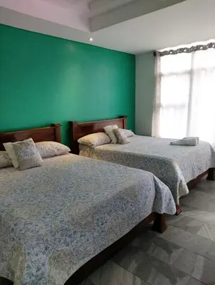 two beds in a room with green walls at Pura vida apartments in Quepos