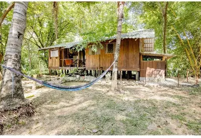 a tree house with a hammock in the woods at Luminosa Uvita Hostel in Uvita