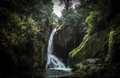 a waterfall in the middle of a river at Dantica Cloud Forest Lodge in San Gerardo de Dota