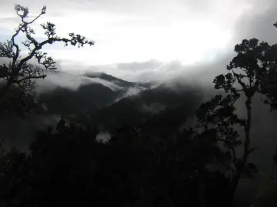 a misty valley in the mountains with trees at Dantica Cloud Forest Lodge in San Gerardo de Dota