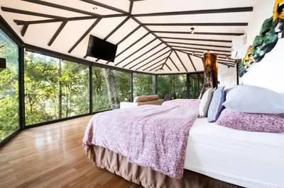 a bedroom with a bed with a tv and windows at Dantica Cloud Forest Lodge in San Gerardo de Dota