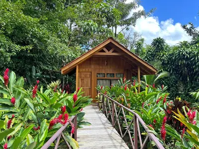 a wooden walkway leading to a small building with flowers at La Fortuna Natural Green in Fortuna