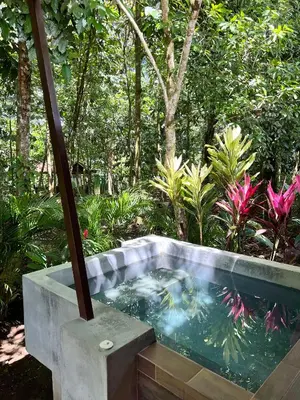 a bath tub with a fish in a garden at La Fortuna Natural Green in Fortuna