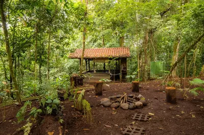 a small cabin in the middle of a forest at La Fortuna Natural Green in Fortuna