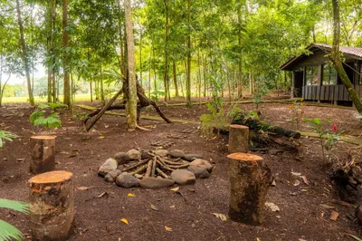 a fire pit in the middle of a forest at La Fortuna Natural Green in Fortuna