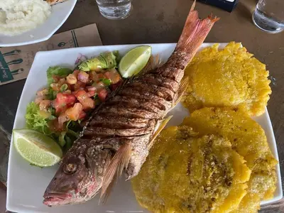 a plate of food with a fish and a salad at Stunning 9th Flr Pacific Ocean and Mtn View in Jacó