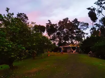 a house in the middle of a yard at Amphibia House in Agua Azul