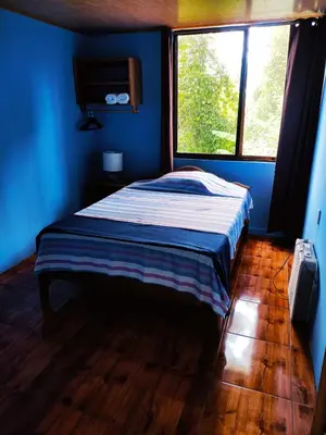 a bed in a blue room with a window at Amphibia House in Agua Azul