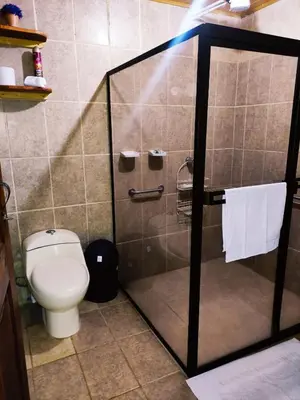 a bathroom with a toilet and a glass shower stall at Amphibia House in Agua Azul