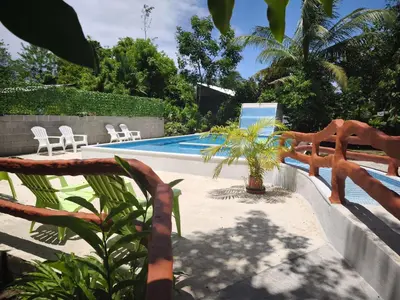 a pool with two chairs and a palm tree at Cabañas Daneysha in Tortuguero