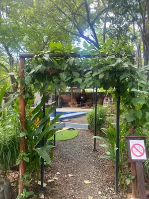 a pergola in a garden with a pool at Casa Natural Madera in Brasilito