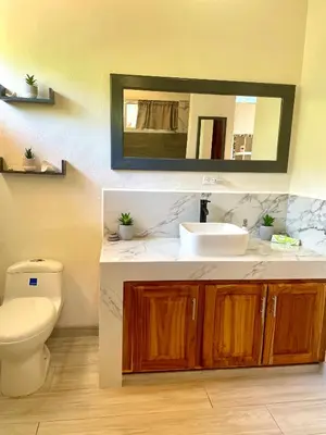 a bathroom with a sink and a toilet and a mirror at Casa de Teak in Savegre