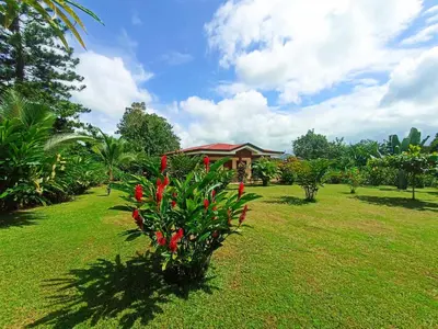 a bush with red flowers in front of a house at Villa Ceiba in Fortuna