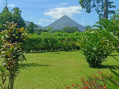 a plantation with a mountain in the background at Villa Ceiba in Fortuna