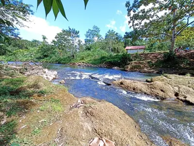 a river with rocks and trees on a hill at Villa Ceiba in Fortuna