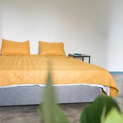 NAPPO Room 2 Alajuela