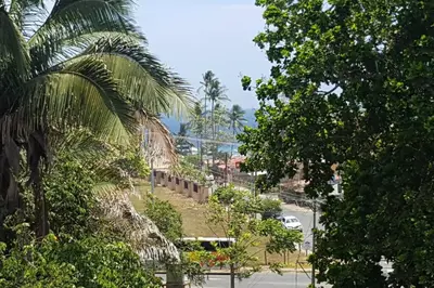 a view of a park with trees and a street at Oceanview 6th Floor Jaco Condo in Jacó