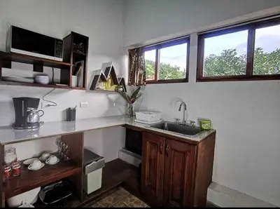 a kitchen with a sink and a counter and two windows at Cabaña Bambú in Cartago