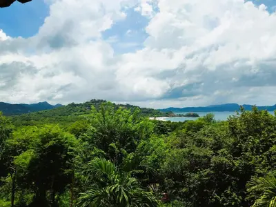 a view of a body of water from a forest at Presidential Suites 4 - Spacious condo in the heart of Flamingo, sleeps 6 in Playa Flamingo