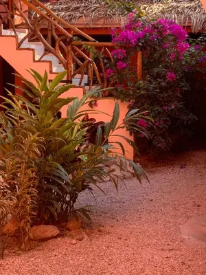a group of plants and flowers next to a building at Beach Front Bahia in Sámara