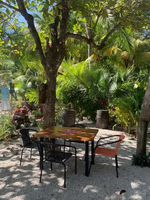 a table and chairs in front of a tree at Beach Front Bahia in Sámara