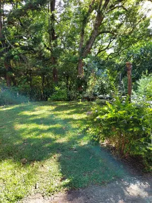 a garden with trees and grass and a path at Cabaña Piqueza! in Poás