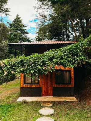 a small house with vines growing on the side of it at Cabaña Piqueza! in Poás