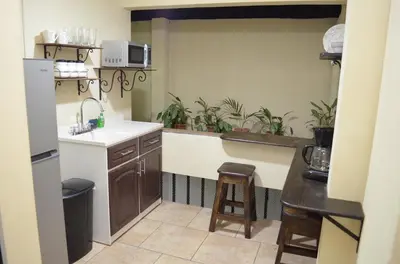 a kitchen with a sink and a counter with plants at #3 Private room Close to Airport in Alajuela City