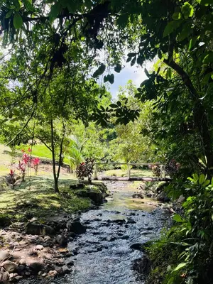a stream in a park with trees and a river at The Wellness Park Costa Rica in Fortuna