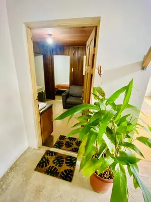 a living room with a potted plant in theoyer at Nomads Family Rooms, Fortuna Town in Fortuna