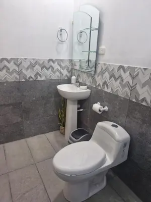 a bathroom with a toilet and a sink at La casa del volcán in Fortuna