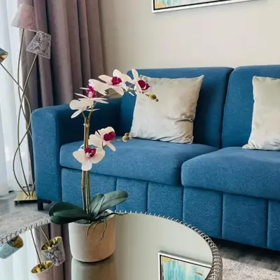 Cozy apartment with terrace