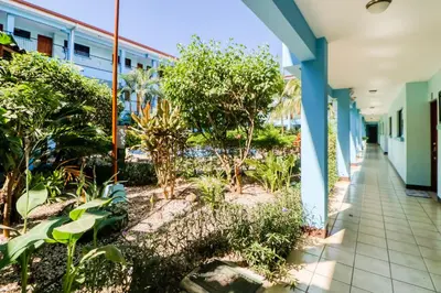 a corridor of a building with trees and plants at Marina Loft 221 in Coco
